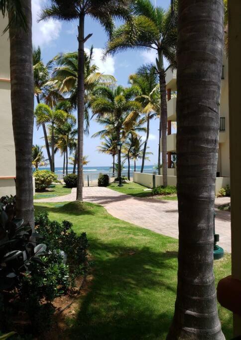 1St Level Unit Steps To Beach- Cold Air Conditioner At Poza Del Mar Luquillo Luaran gambar